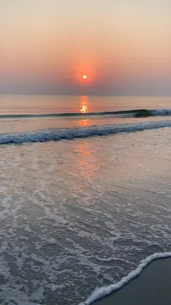 Beach sea sun