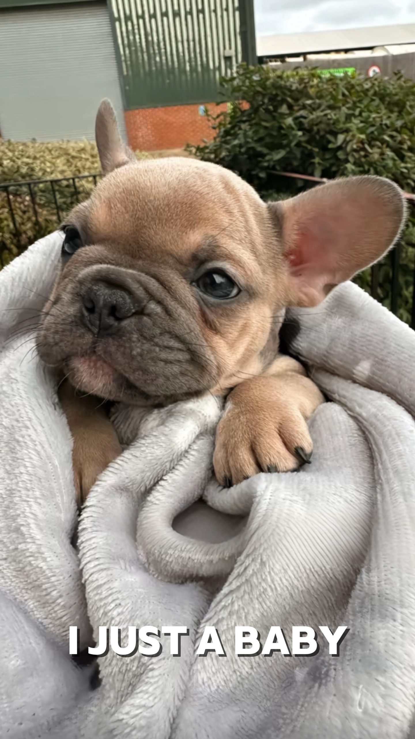 Ich bin nur ein Baby 