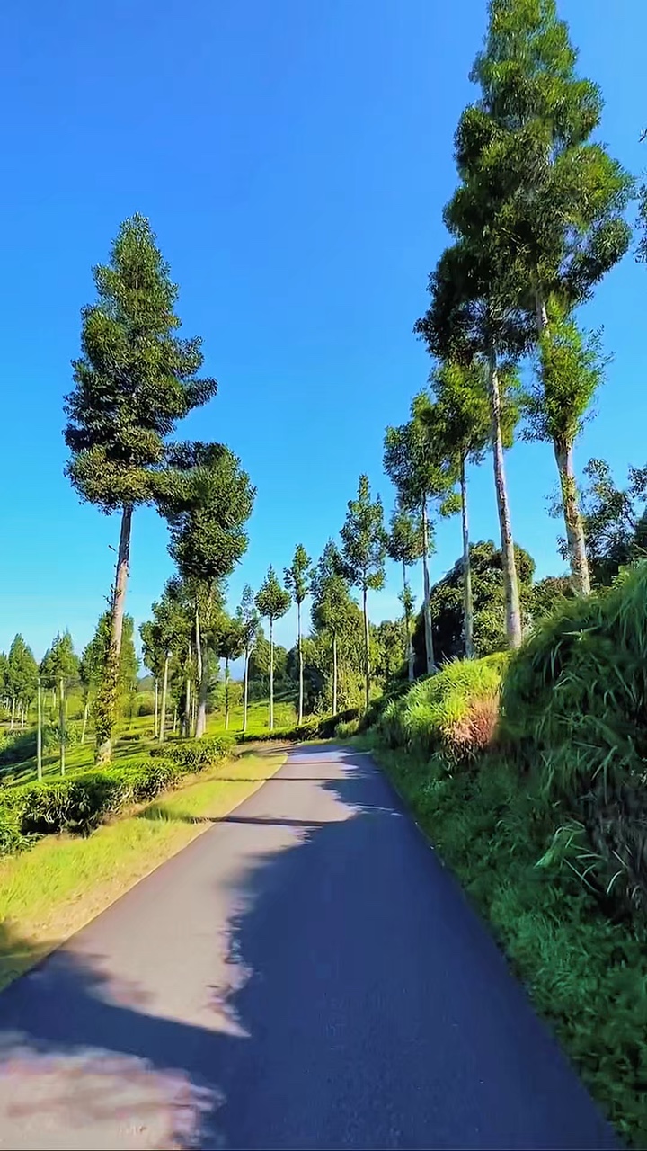 road trip video