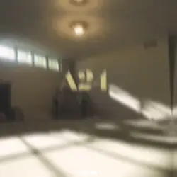 A24