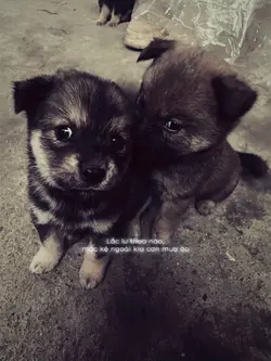 MẪU LYRICS STORY MÀU