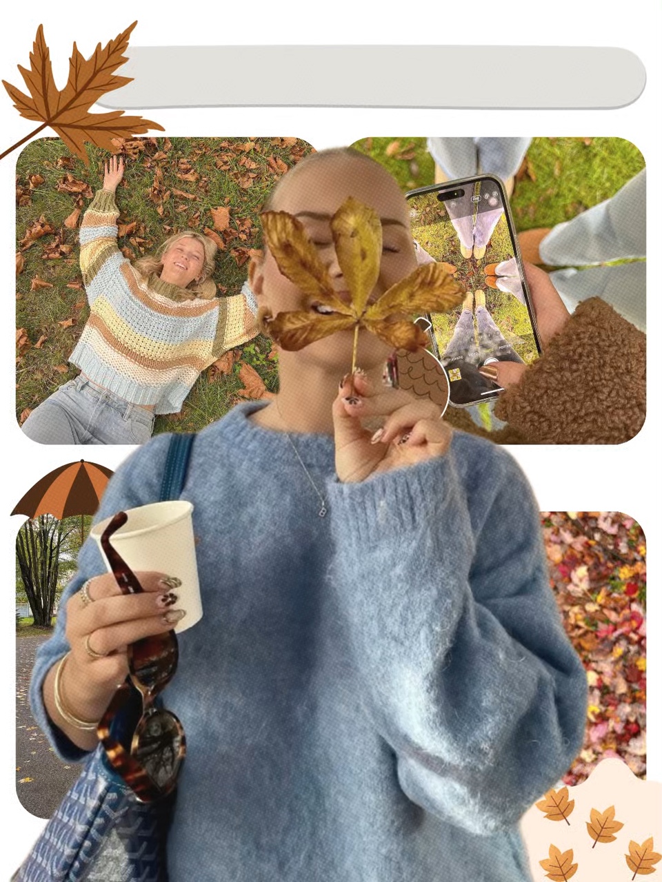 Collage d'automne🍁