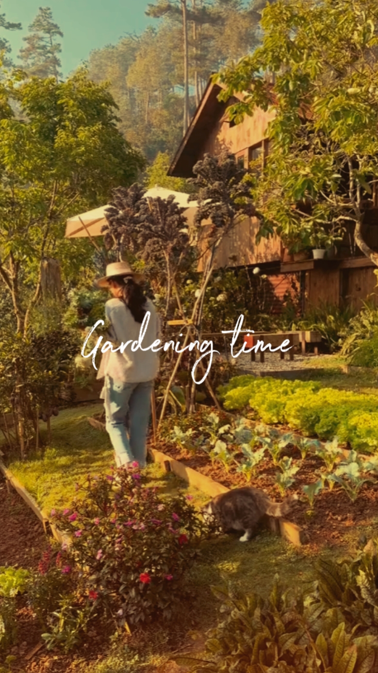 Waktunya berkebun