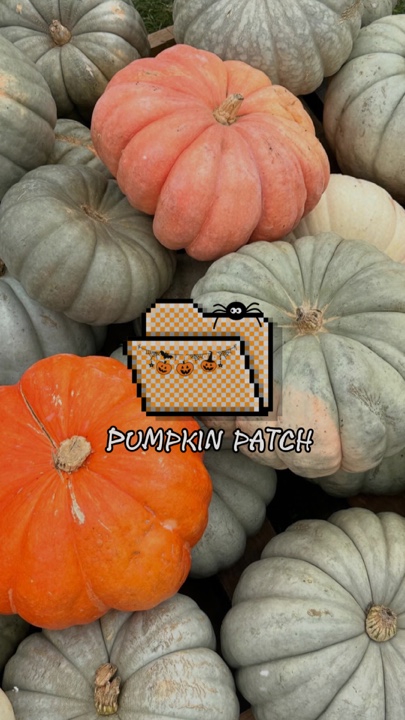 Resumen del huerto de calabazas