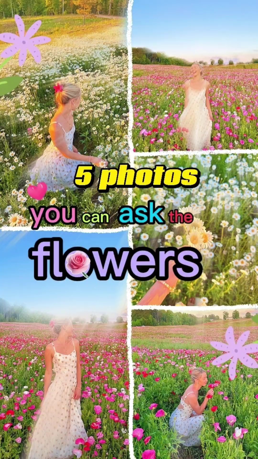 pretty flowers life