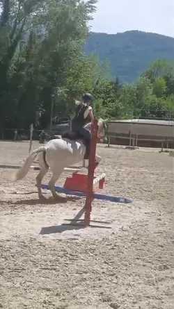 slowmo hunter