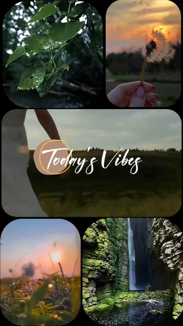 Nature vibes