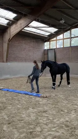 SLOWMO FAIL