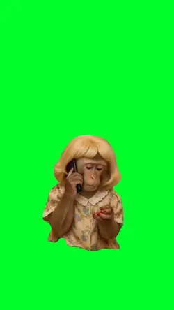 Monkey on the phone