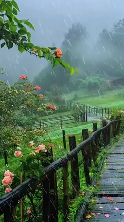 Rain Aesthetic