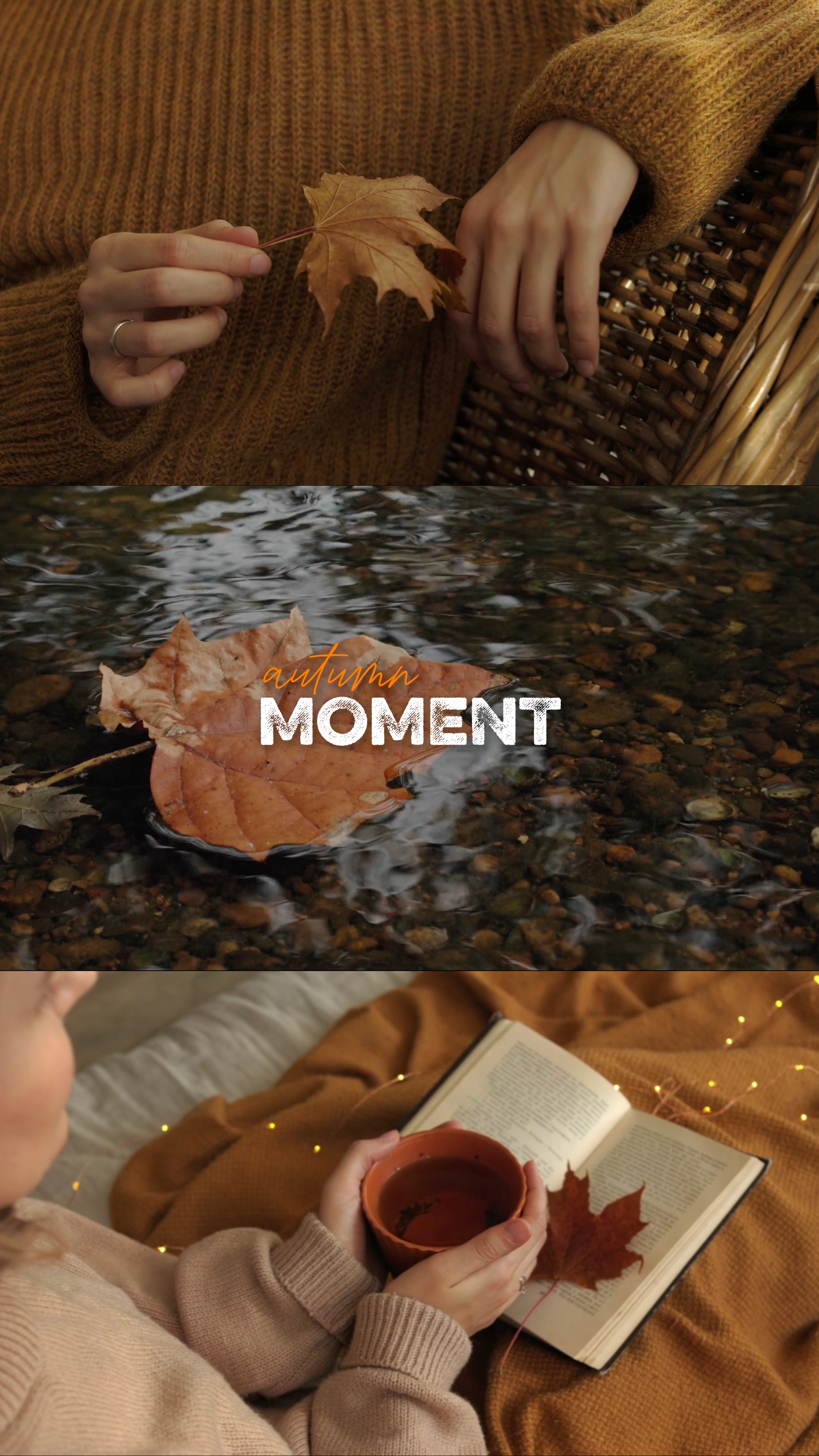 fall moment 