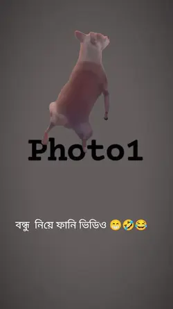 বন্ধু নিয়ে ফানভিডিও