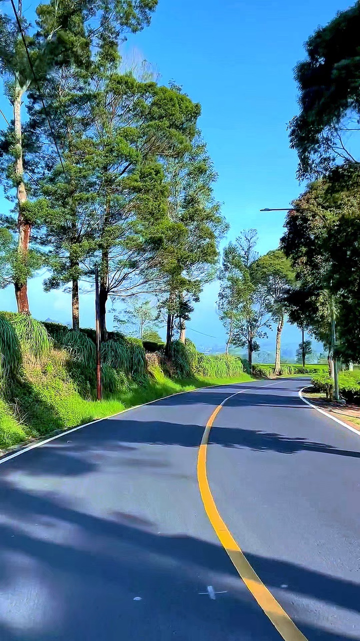 5 videos de viaje por carretera