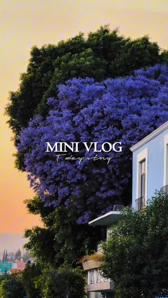 迷你vlog今天
