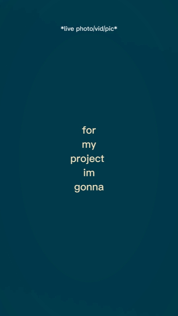 formyprojectimwill