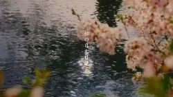 私の人生日記