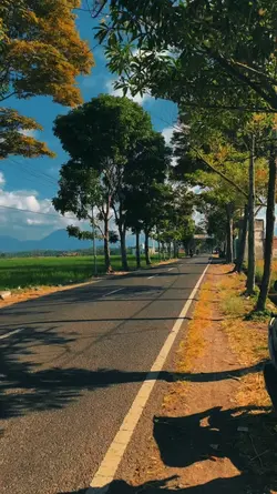 kau telah mencuri ha