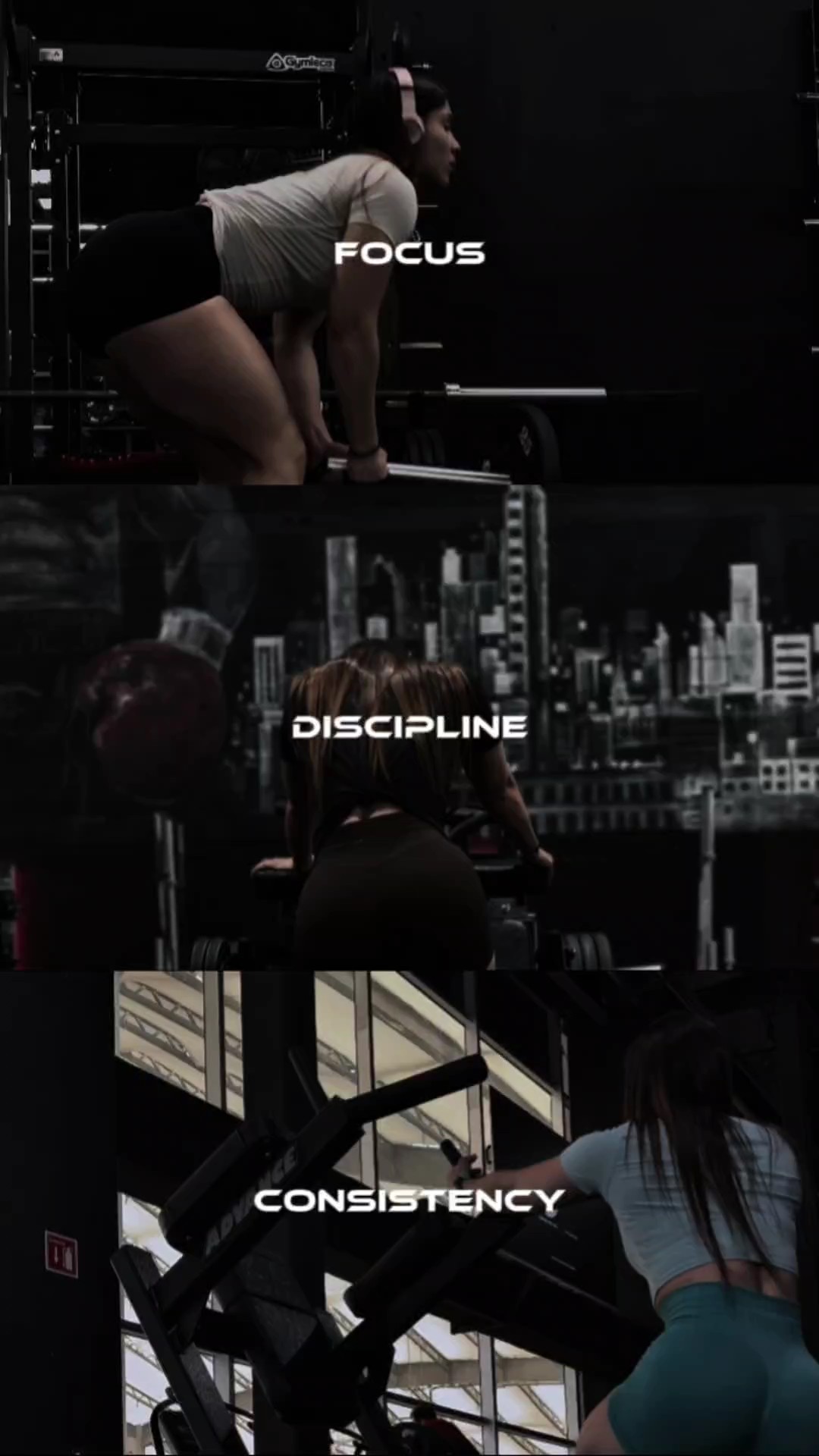 discipline de concentration