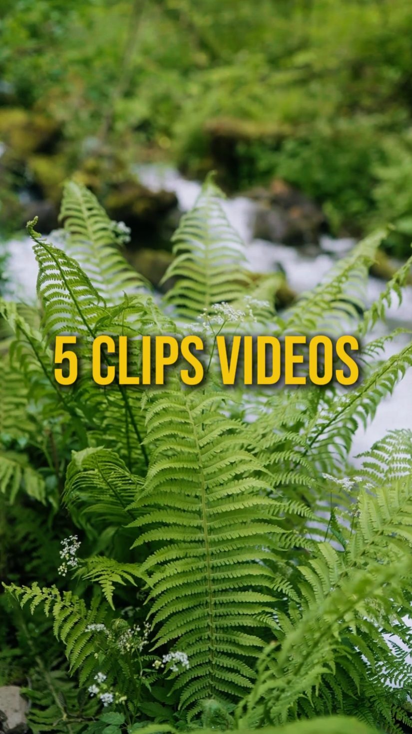 CINEMATIC 5 VIDEOS