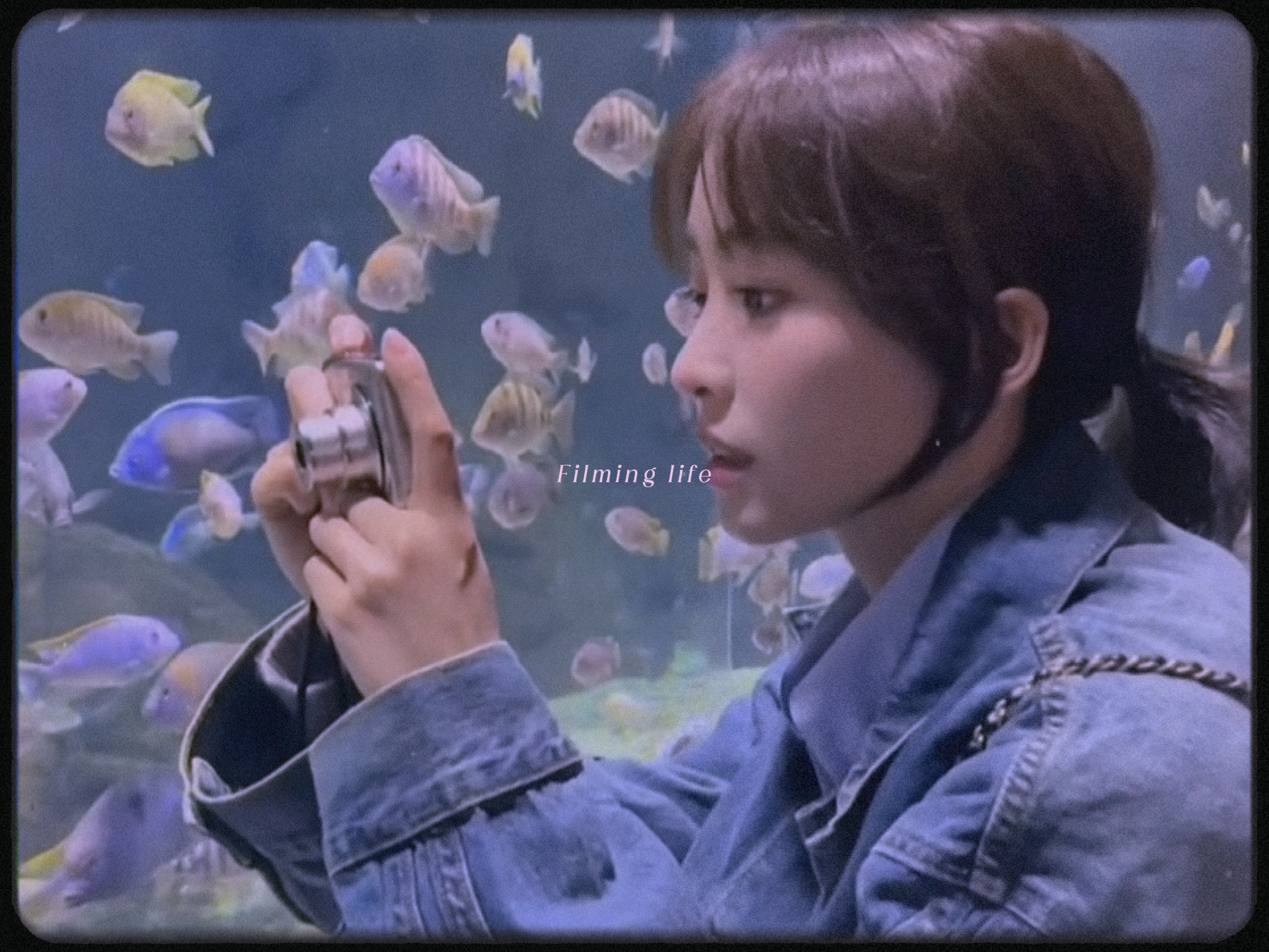 Kehidupan syuting