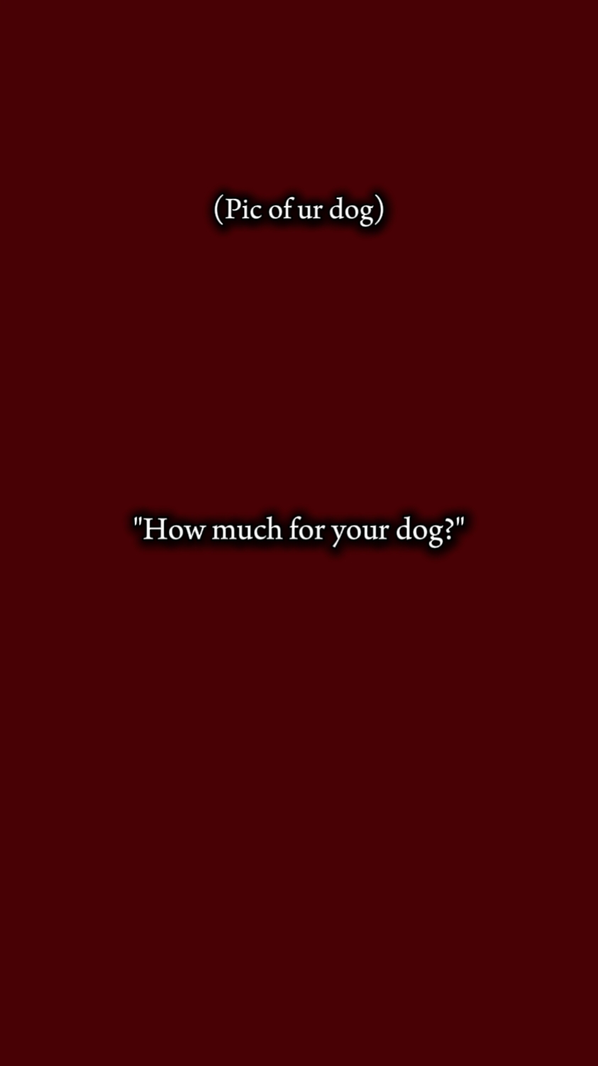 dog