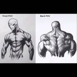 Front Pov / Back Pov