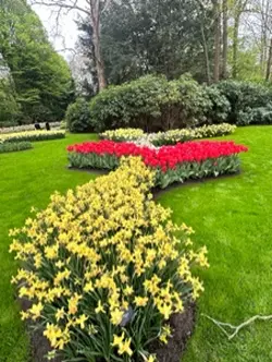 Keukenhof Holland