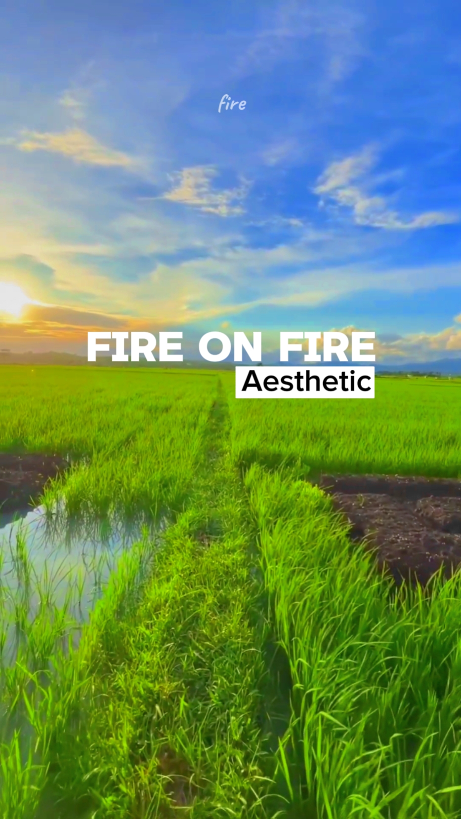 Aesthetic FireOnFire