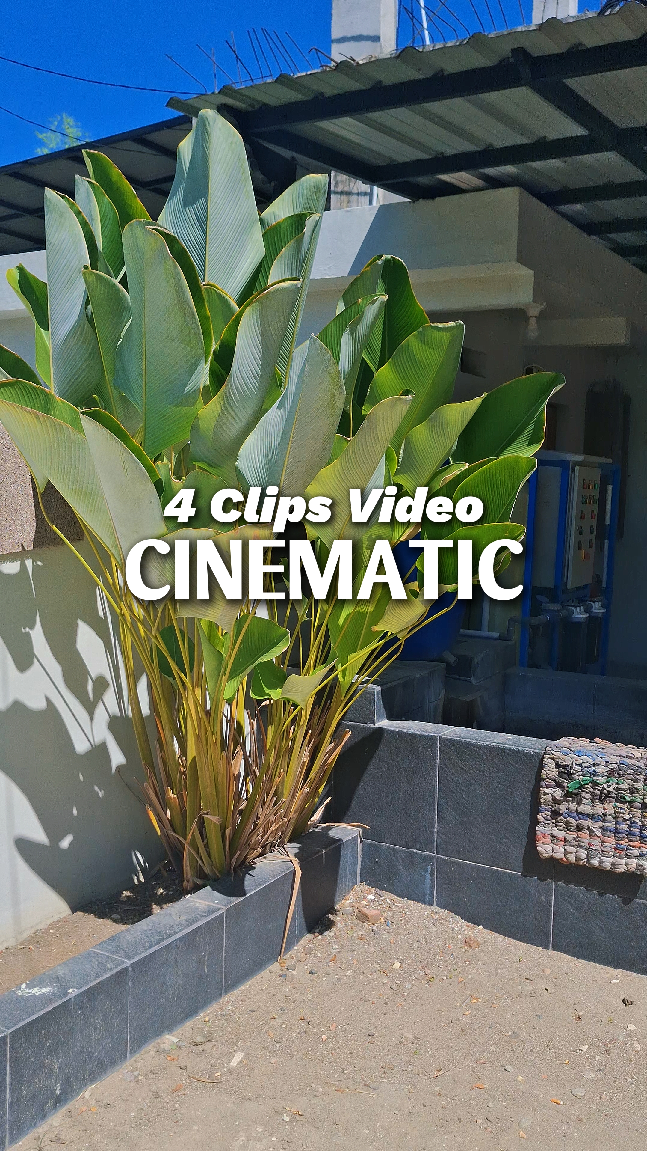 4 Clips Video