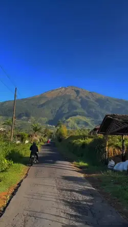Tekamu Dadi Tombo