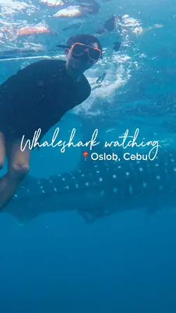 Ocean Adventure
