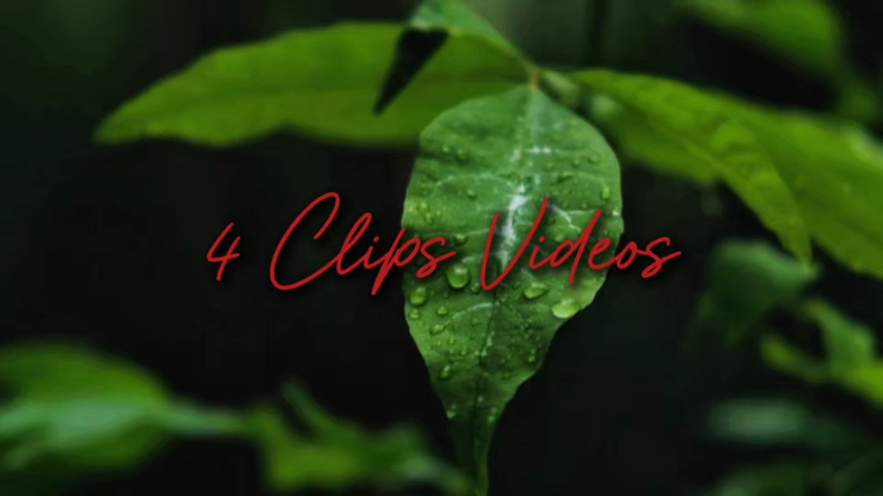 4 Clips Videos 