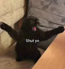 SHUT YO AS