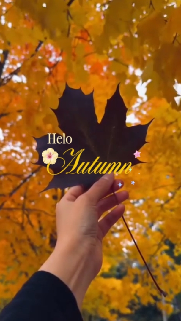 Helo automne