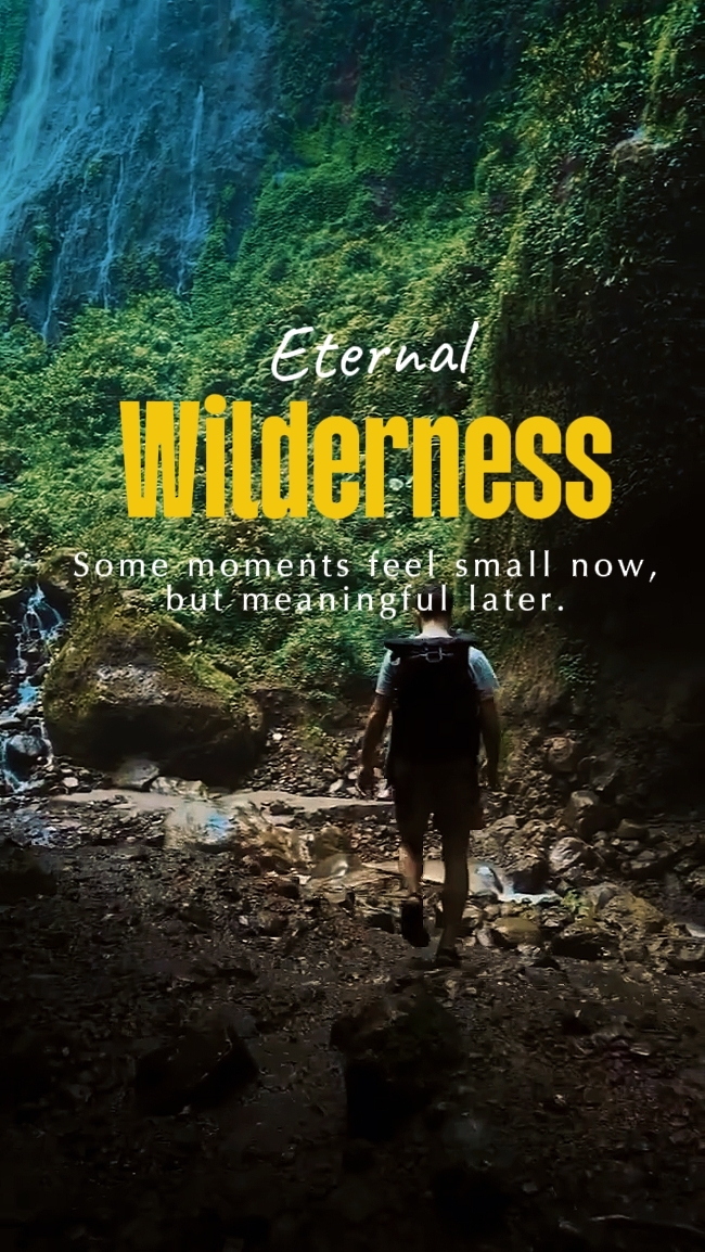 Eternal wilderness