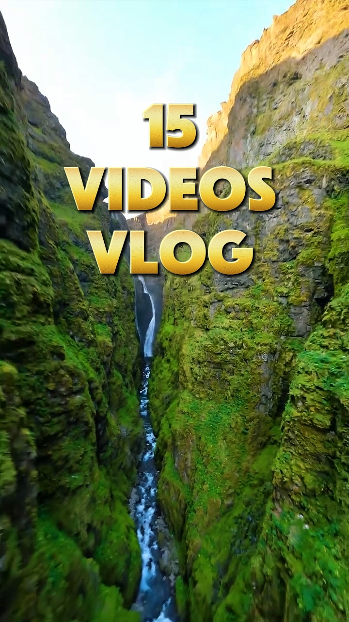 15 video or photo 