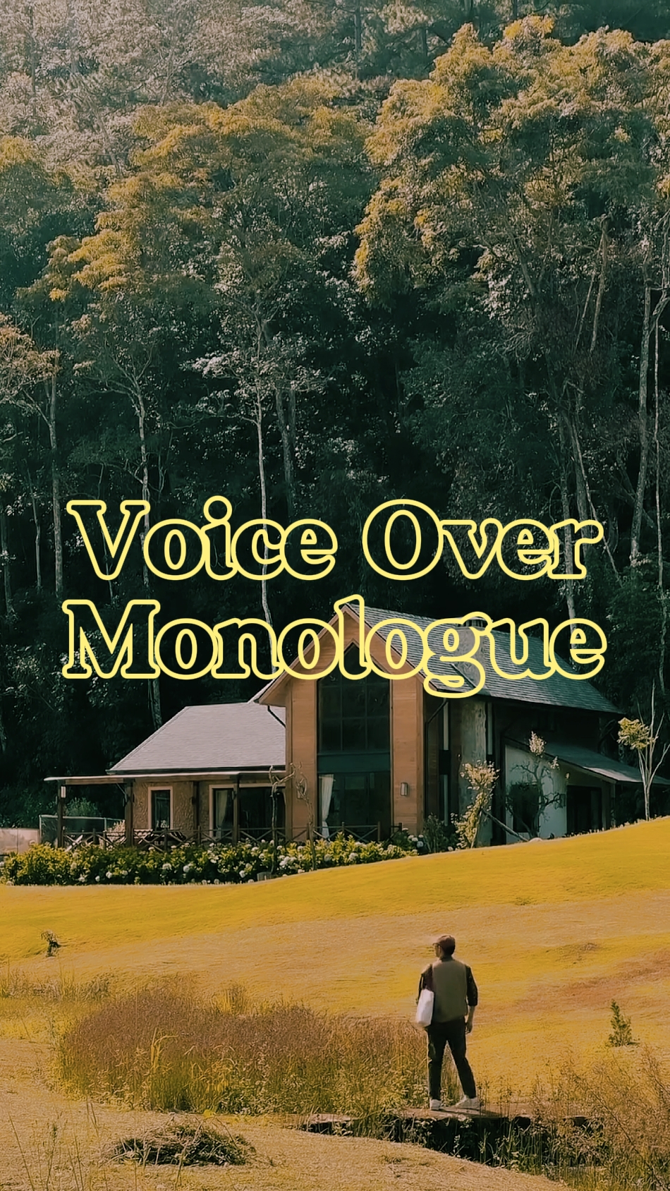 voice over 