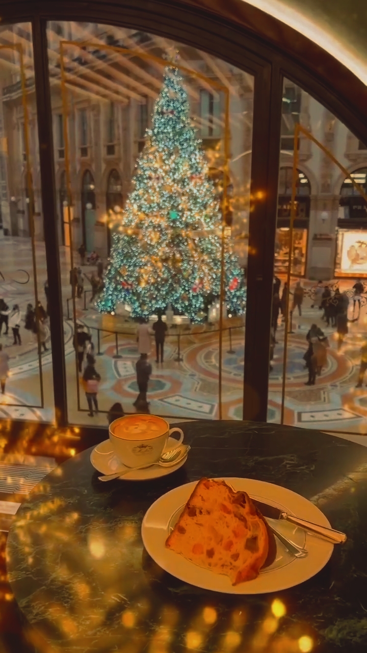 Christmas cameraroll