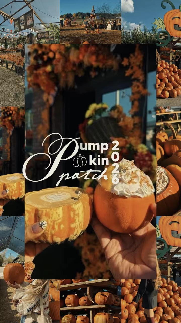 Volcado De Parche De Calabaza