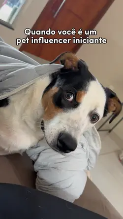 Trend pet