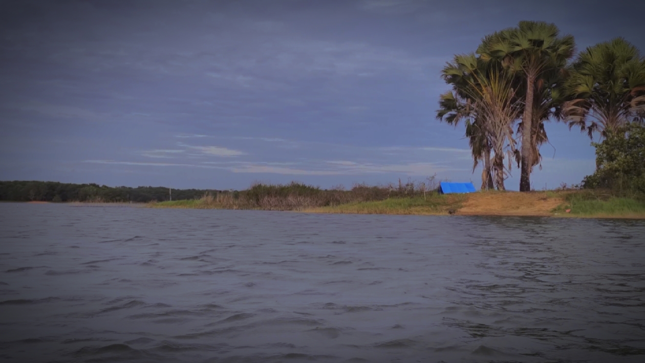 Landscape slowmotion