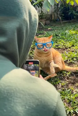 kucinglucu