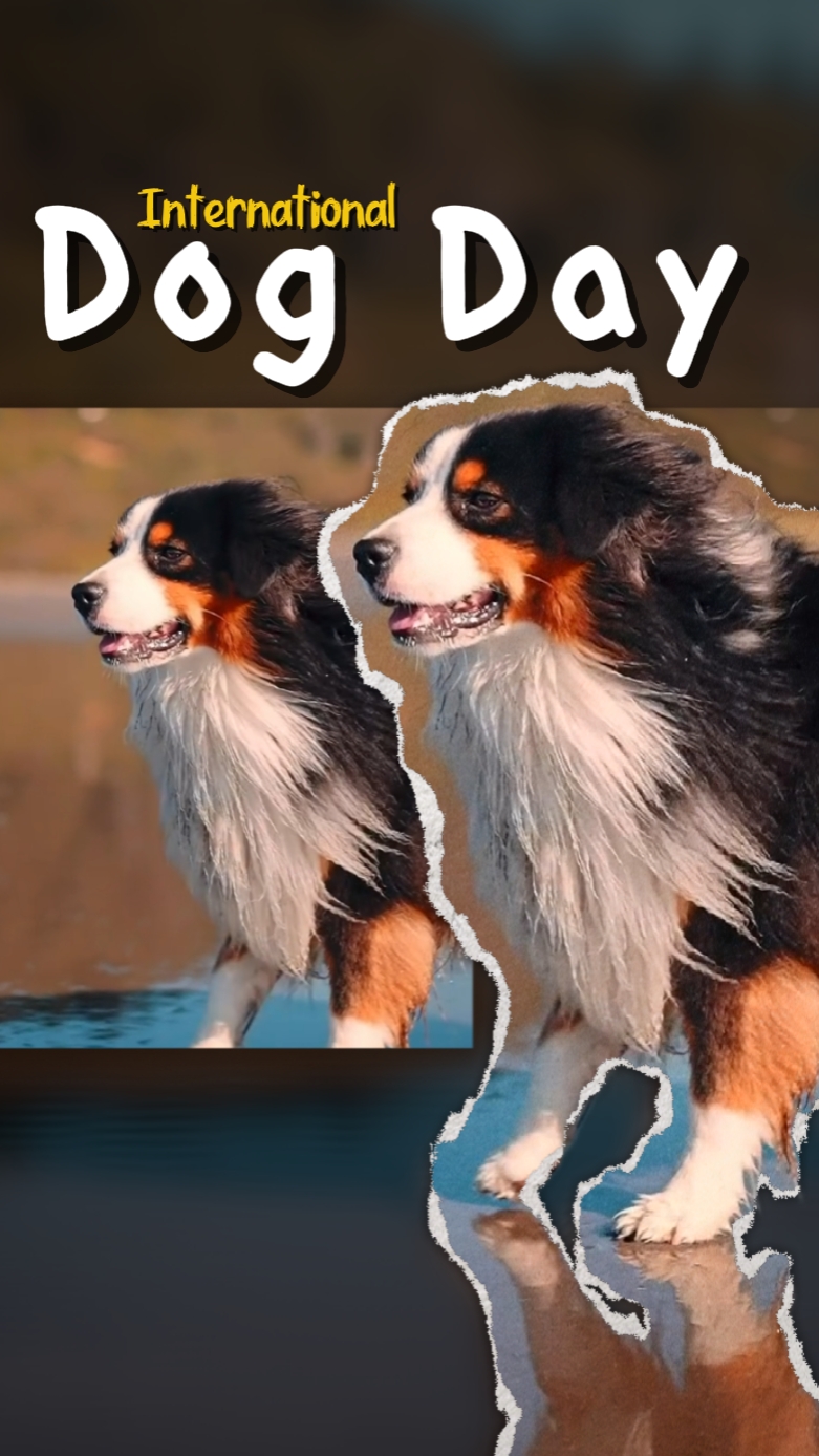 Día del perro