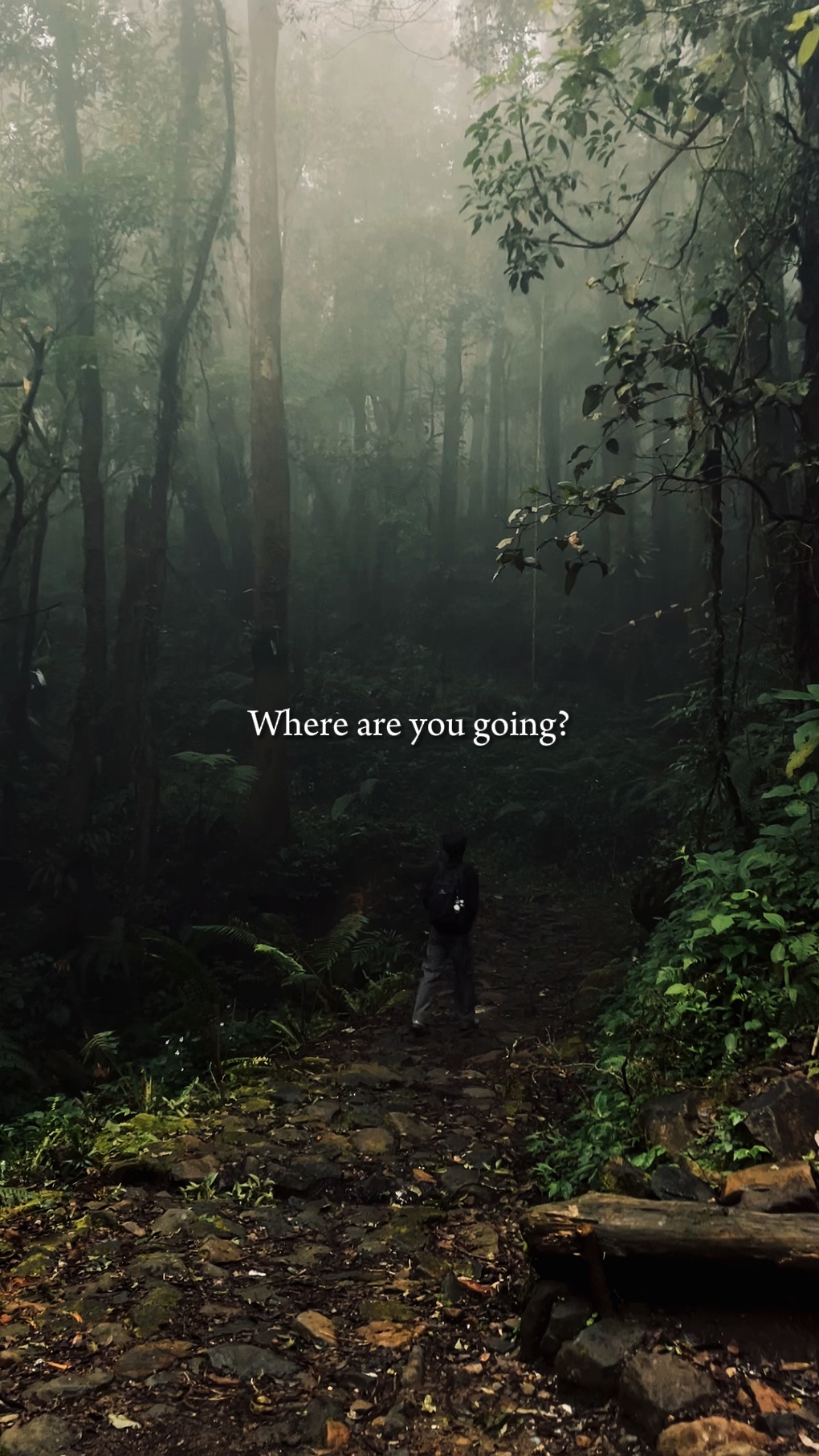 where are you going