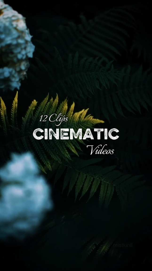 12 Clips Estéticos 
