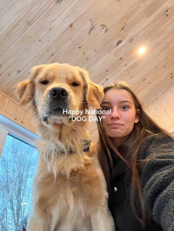 Journée nationale du chien