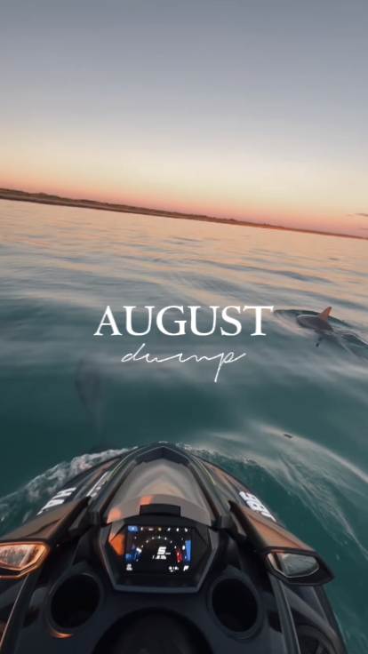 Despejo de agosto