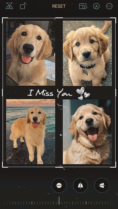 I Miss You Buddy