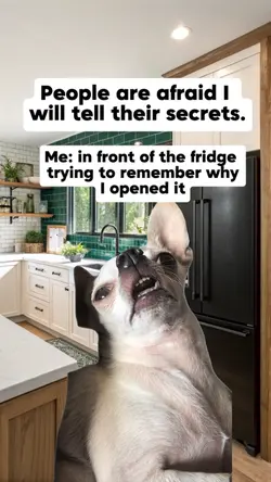 people are afraid
