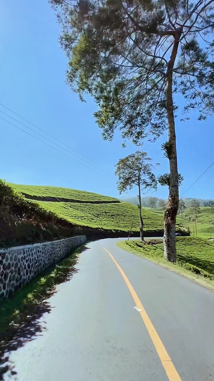 road trip 3 video 